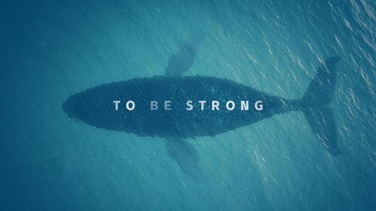 Be Strongô Be Strongȫؿ[ͼ]